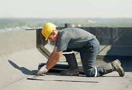 Best Roof Coating and Sealing  in Hidalgo, TX